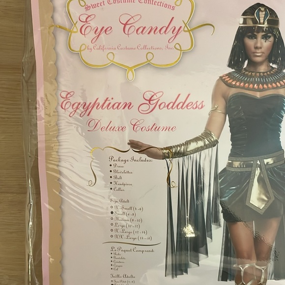 Egyptian Goddess Costume - Picture 6 of 6